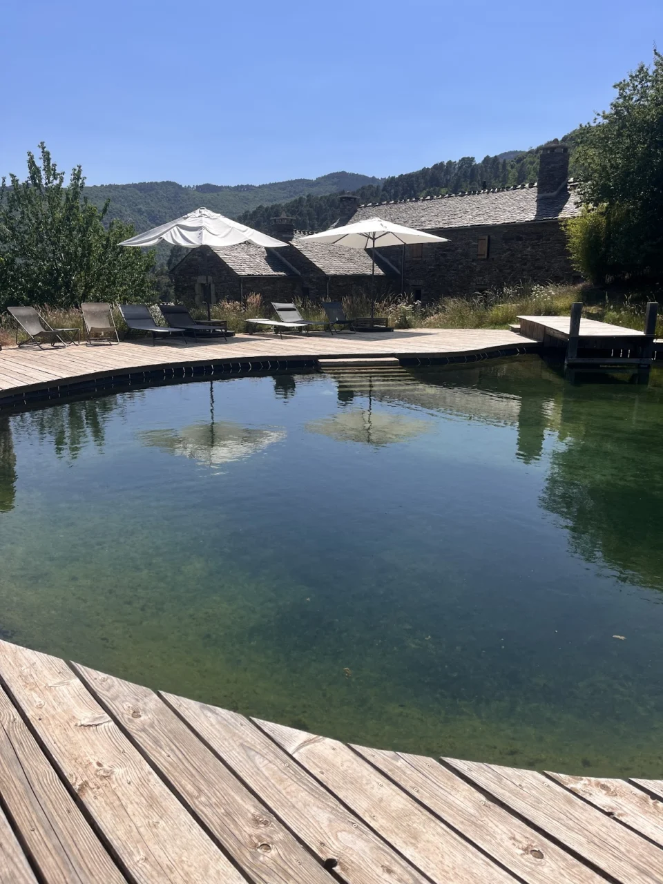 DOMAINE LE VERDIER – Gîte en Cévennes, Lozère, Piscine naturelle & Spa privatif