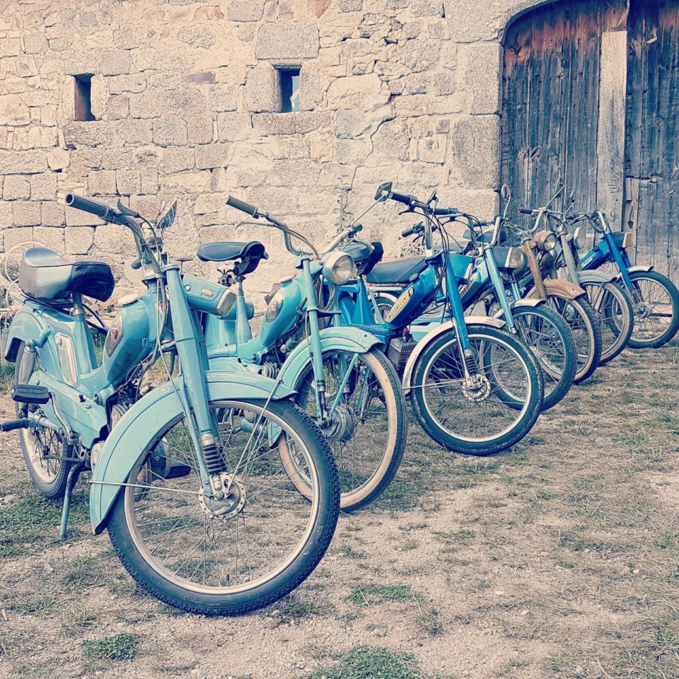Gîte Lozère Bleue
