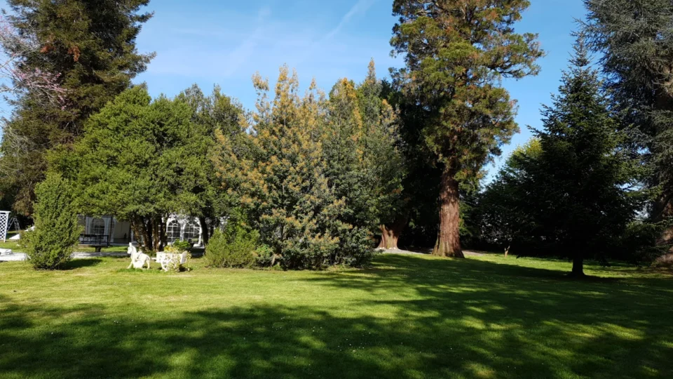 Villa Corina Maison d'Hôtes Tarbes
