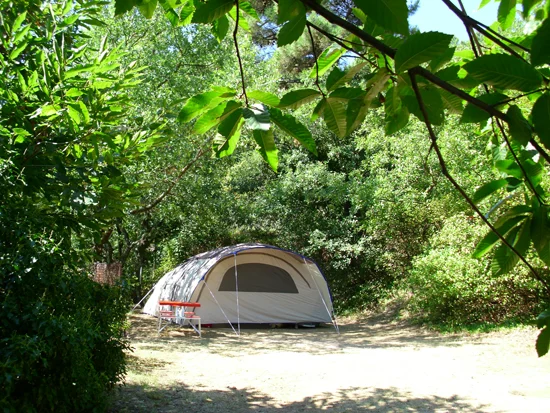 CAMPING LOU CANTOU CÉVENOL