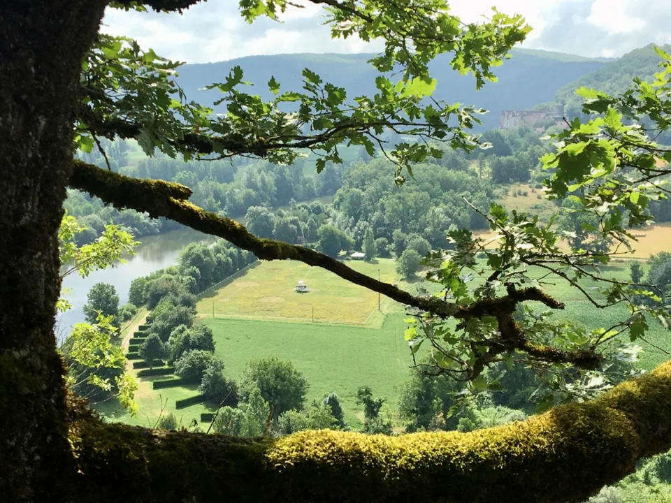 Chill-Lot / Camping Insolite