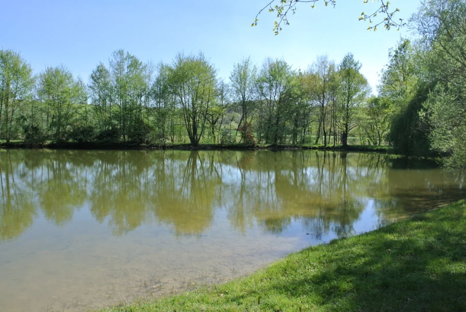 Les Fées du Moulin - Chalets & Vacances Nature Tarn