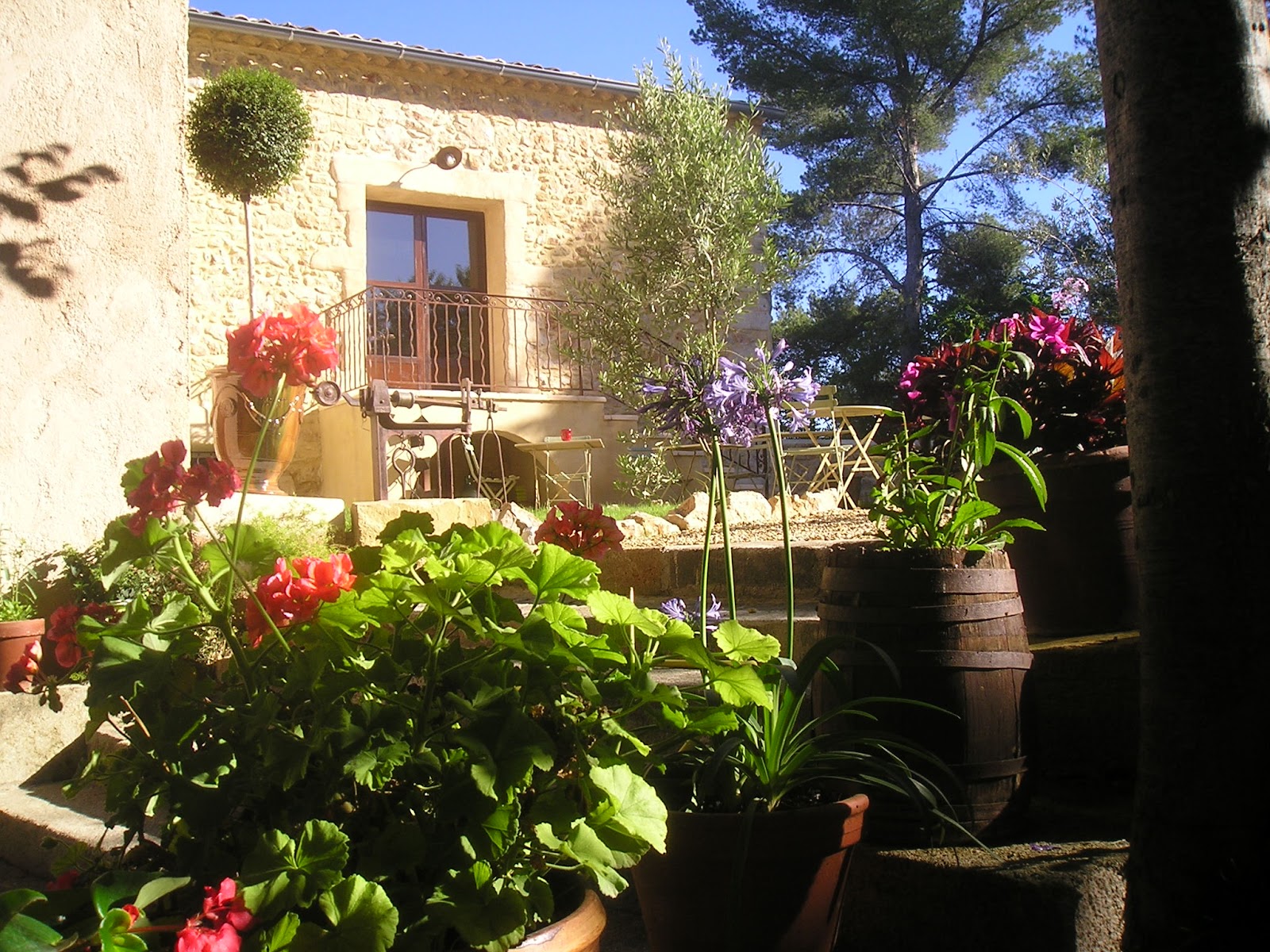 Clos de l'herminier - Chambres d'hôtes à Montpellier