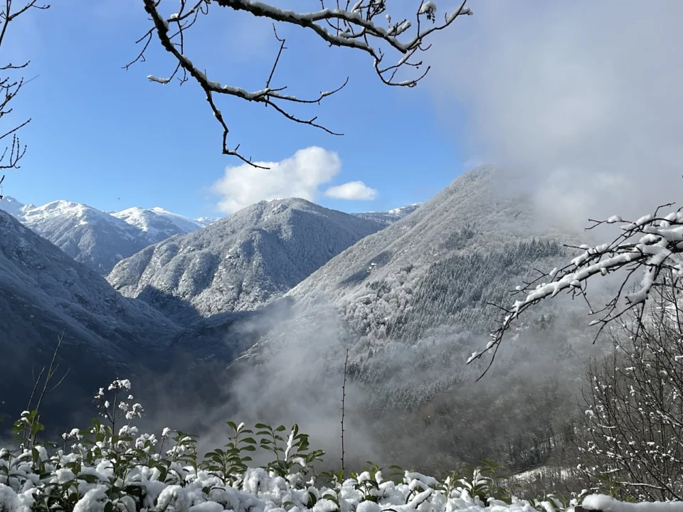 Les Logis d'Agaliaure - Le Chalet de Larcat - Ariège