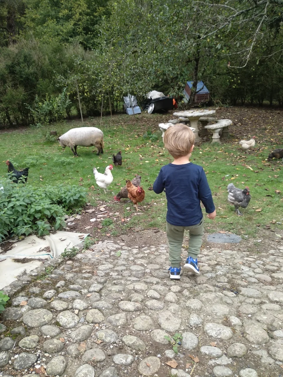 Les Rives de L'Ariège: location saisonnière gîte appartement de vacances séjour calme Ariège 09