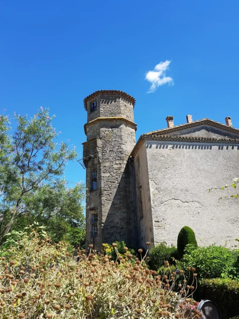 Chateau Saint-Martin